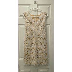 Ann Taylor LOFT Lace Dress